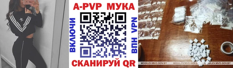 Alfa_PVP СК КРИС  darknet какой сайт  Прокопьевск 