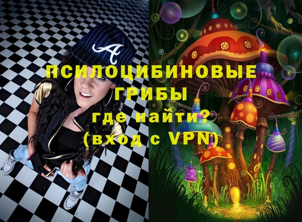 стаф Липки