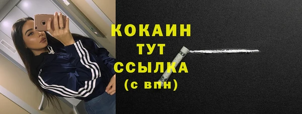 spice Лиски