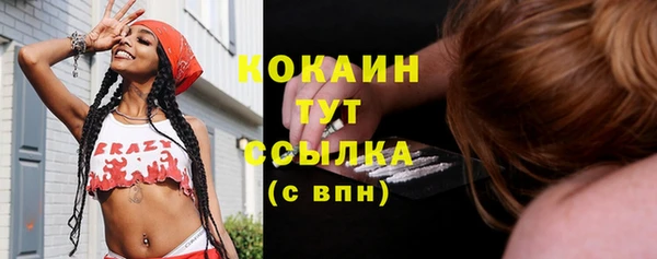 стаф Липки