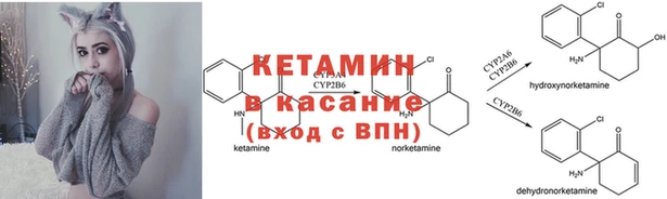 трава Ладушкин