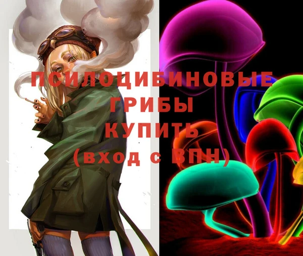 стаф Липки