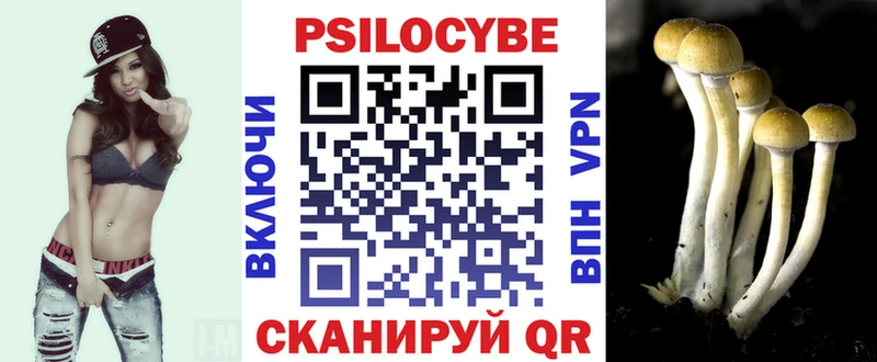 магазин    Прокопьевск  Галлюциногенные грибы Cubensis 