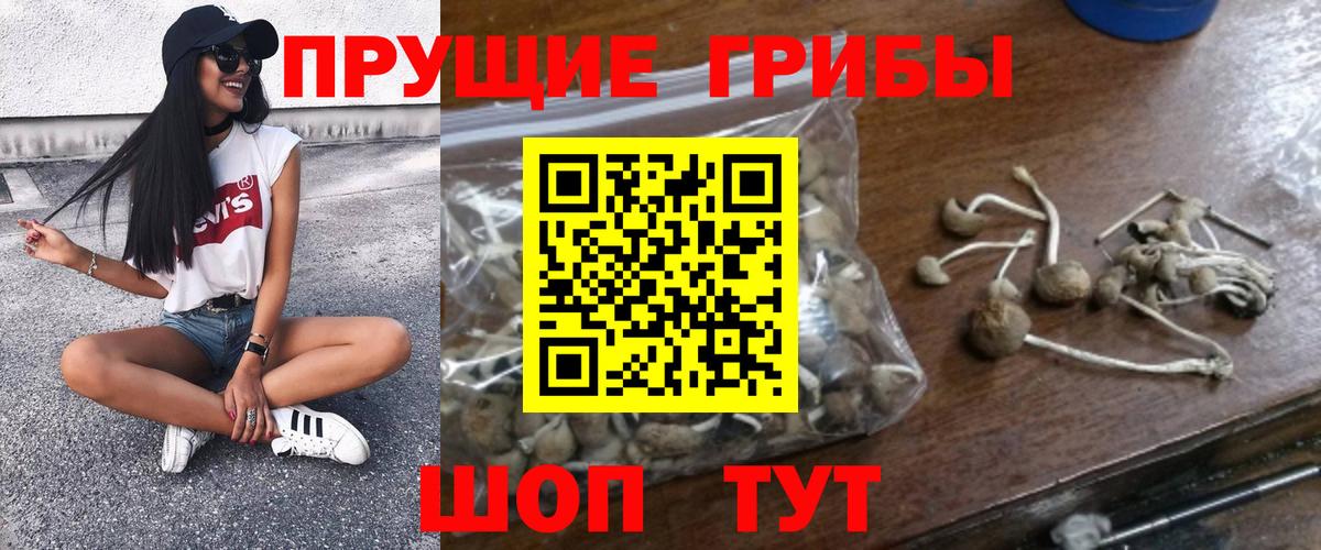 Прокопьевск  Псилоцибиновые грибы MAGIC MUSHROOMS  Псилоцибиновые грибы MAGIC MUSHROOMS  Вход с VPN 